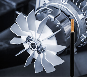 19岁大学生免费观看电视剧软件