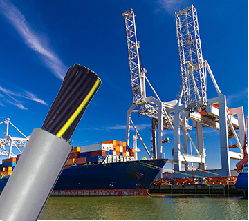 19岁大学生免费观看电视剧软件