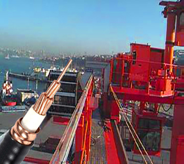 19岁大学生免费观看电视剧软件