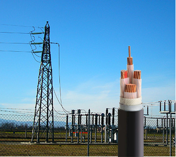 19岁大学生免费观看电视剧软件