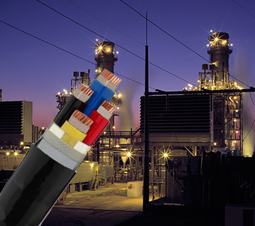 19岁大学生免费观看电视剧软件