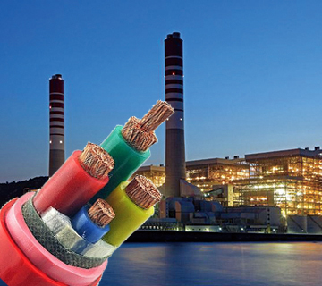 19岁大学生免费观看电视剧软件